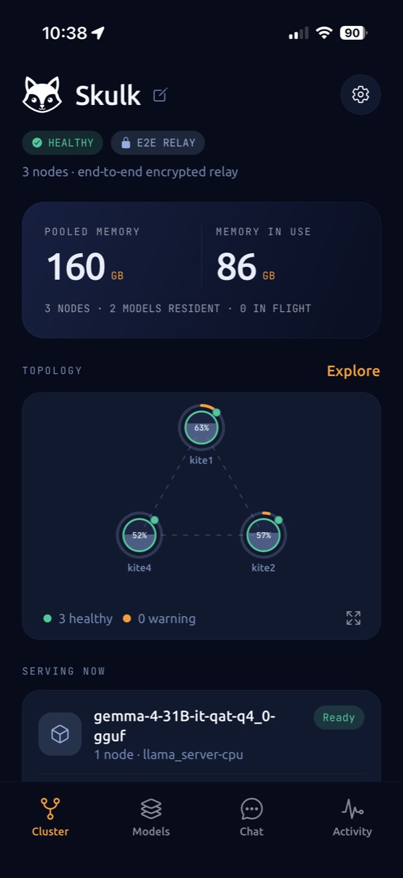 Native app showing a healthy three-node cluster connected through the encrypted relay